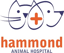 Hammond Animal Hospital