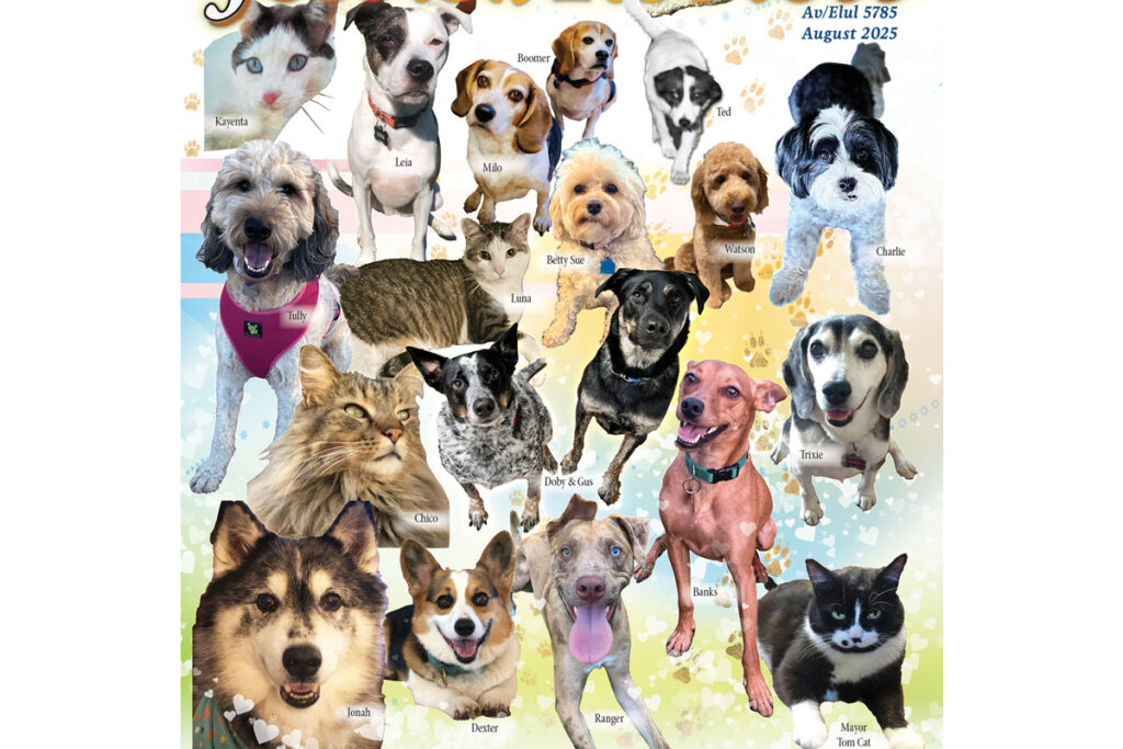 pet campaign